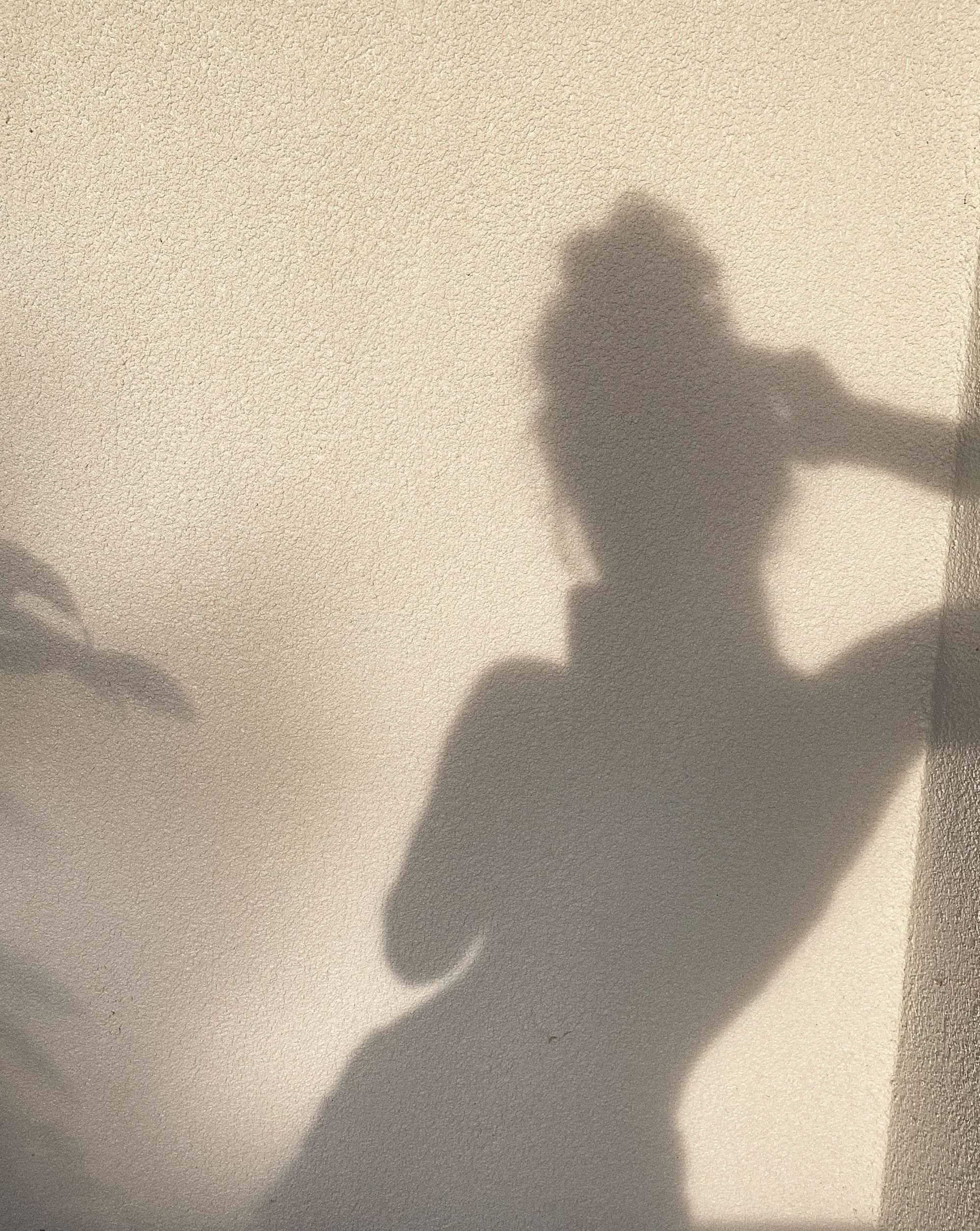 An image without description